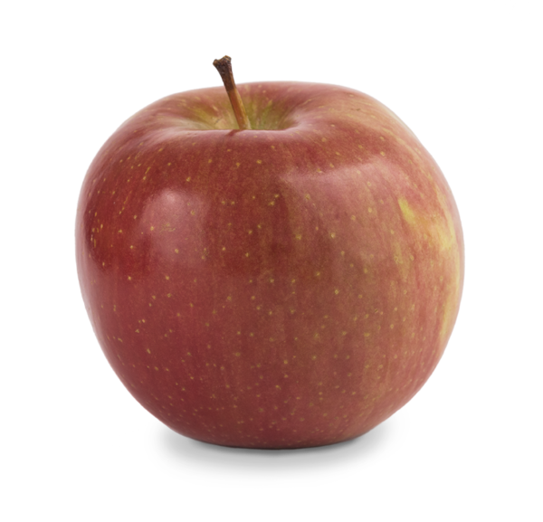 Honeycrisp Washington Apples