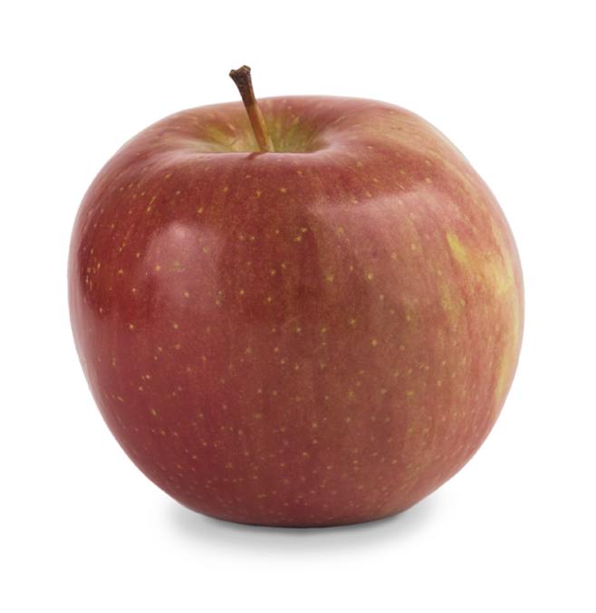 fuji apple