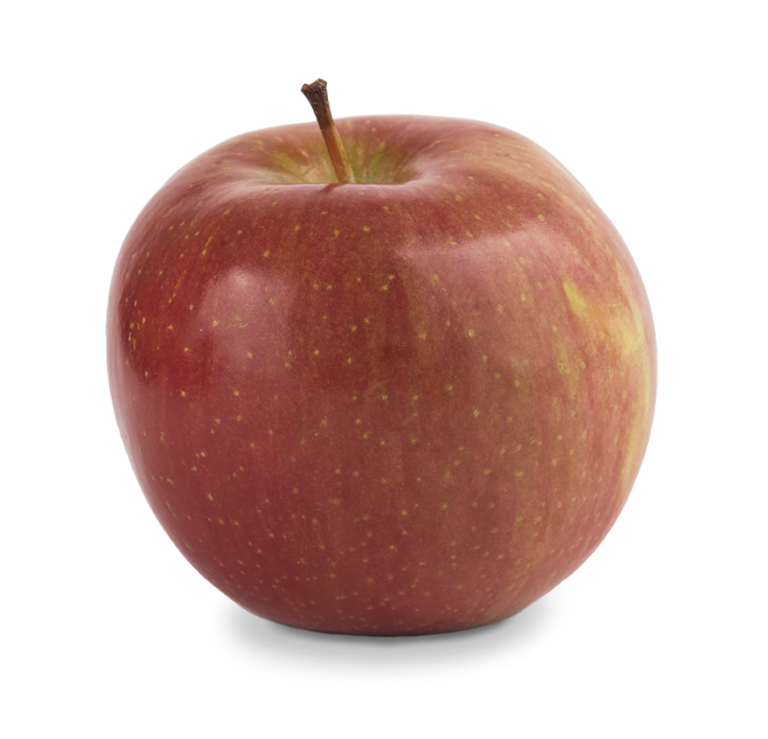 All Apple Varieties Washington Apples