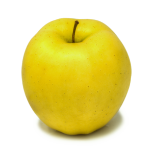 https://waapple.org/wp-content/uploads/2021/06/Variety_Golden-Delicious-transparent-300x300.png