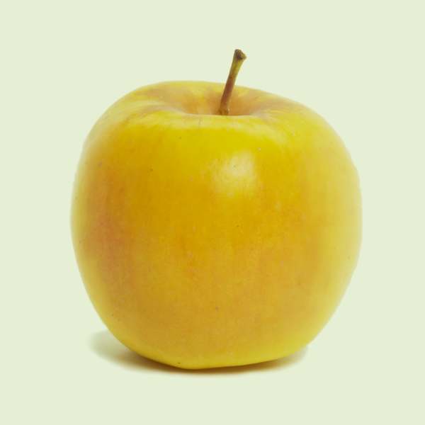 Golden Delicious Washington Apples