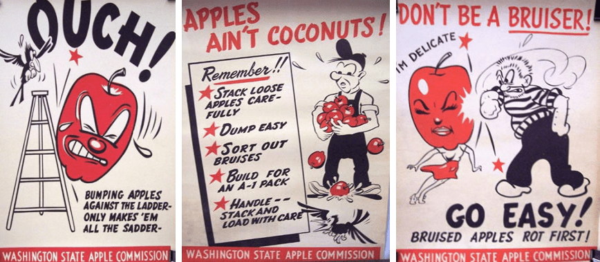 Three cartoons promoting apple bruise reduction practices. The first one is titled "Ouch!" The second one is titled "Apple's Ain't Coconuts" and the third is titled "Don't be a bruiser"
