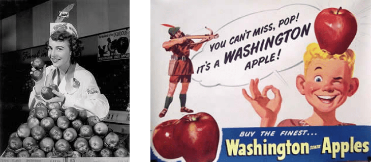 Left: A black and white photo of a young woman holding four apples standing behind a box heaping with Washington apples. Right: A cartoon of a man with a bow and arrow aiming at the Washington apple sitting on the head of a winking blond boy. It's titled "You can't miss pop! It's a Washington apple."