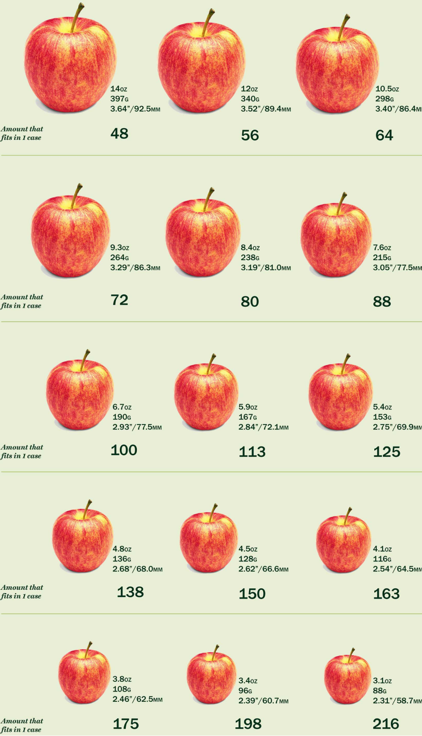 A diagram showing the 15 standard sizes of apples from 216 to 48.